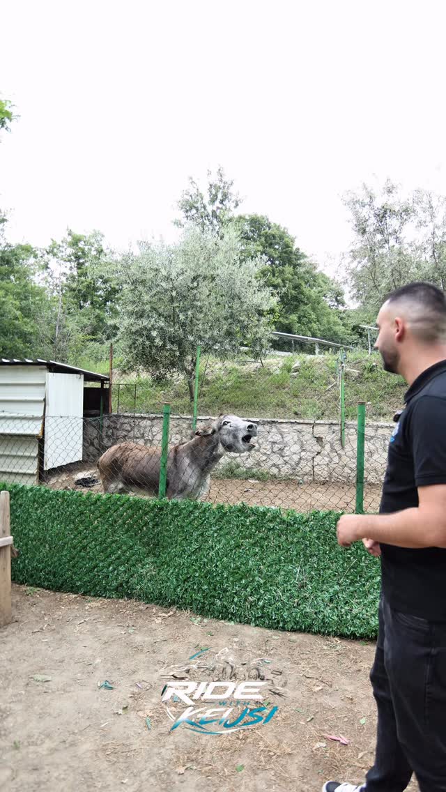 🔥 Shija tradicionale që piqet ngadalë mbi saç!
@te_saci çd